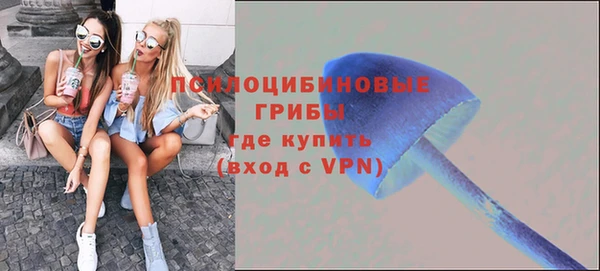сатива Абаза