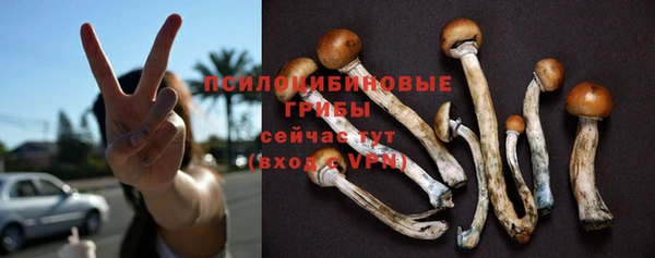 сатива Абаза