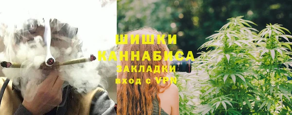 сатива Абаза