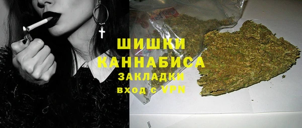 сатива Абаза